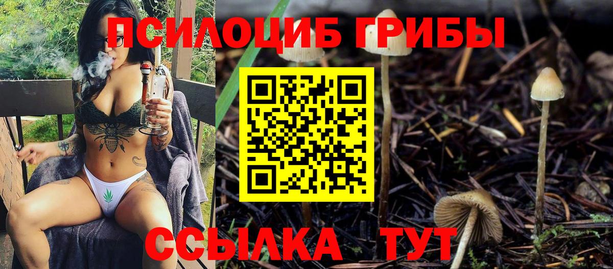 Псилоцибиновые грибы Psilocybe Александров