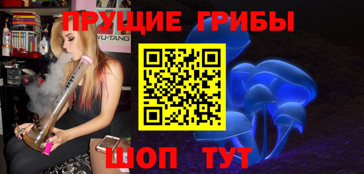 Галлюциногенные грибы Magic Shrooms  Псилоцибиновые грибы прущие грибы  как найти   Александров  Вход с VPN 