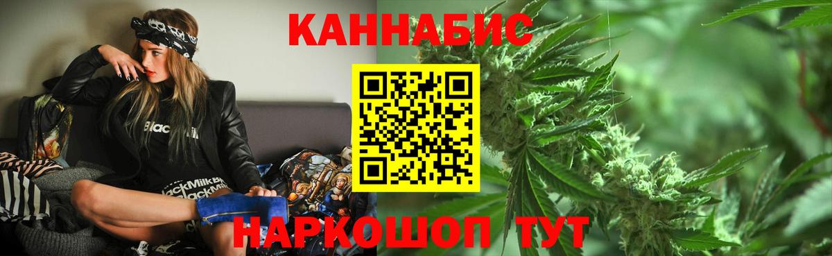 Бошки Шишки план Александров